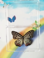 Black Pulse C Butterfly 6 см.