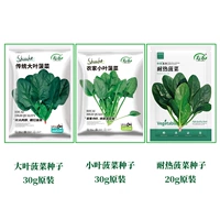 Лейбористский шпинат 30G Оригинал+большой листовой шпинат 30 г оригинал+тепло -резистентный шпинат 20G оригинал