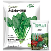 Фермерский листовой семена шпината 30 г оригинал+1 мешок 8 л пищевой почвы