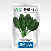 Зимняя трансляция 614 Семя шпината 300G Оригинал