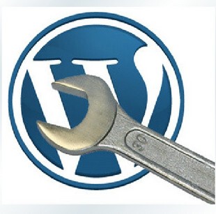 Установка и техническое обслуживание WordPress | Исключение неисправности | Ремонт ошибок | Оптимизация перемещения | Модификация кода программы
