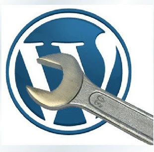 Установка и техническое обслуживание WordPress | Исключение неисправности | Ремонт ошибок | Оптимизация перемещения | Модификация кода программы