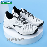SHTS2WEX White