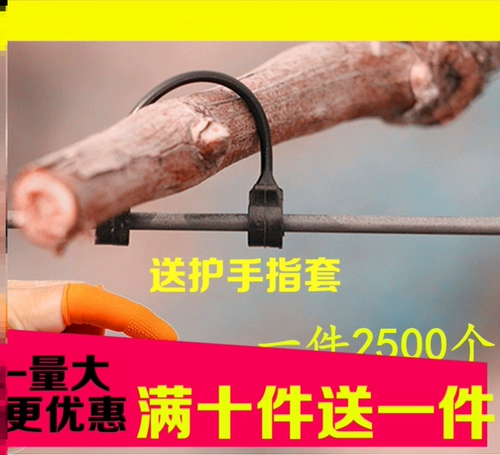 Виноградные киви ветви завязывать куча цветочные пластиковые ветви фиксированные пряжки ветви.