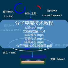 生物技术研发：开启生命科学新篇章