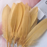50 Khaki 50 Roots