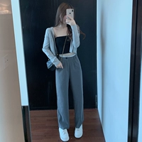 Предварительно предназначенные брюки (отправлено в течение 50 дней)