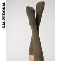 Olive Green-9121