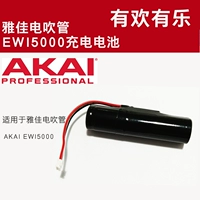 Yajia ewi5000 Ewisolo Hair Tube Electric Saxophone Akai Специальная батарея