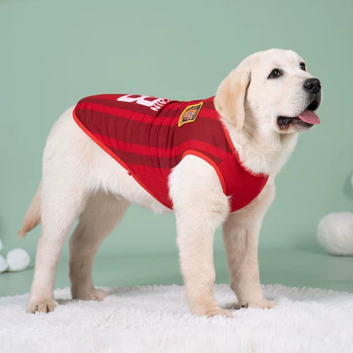 Одежда домашних собак лето тонкая дышащая средняя большие собаки золотые волосы золотые волосы лабрадора майонео