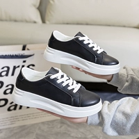 C26 Black