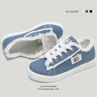 T02 Blue