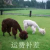 Товары от 猫猫乎