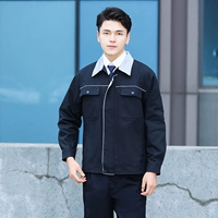 Утолщенный хлопок (скрытый серой воротник).