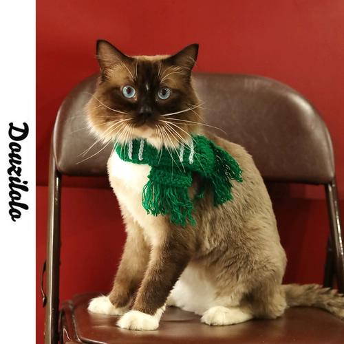 Гарри Поттер Pet Baste Slyserin Green April April Witcher Softway Размещение программного обеспечения настраиваемой настройки ручной работы