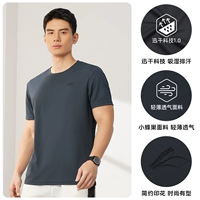 Slate Grey-B-652524113