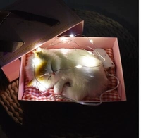 Большой размер будет называться желто-ушами, подарочная подарочная коробка для кошачьей струны