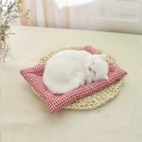 Большой размер будет называться персидский кот красный и белый сетка