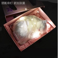 Большой размер будет называться подарочная коробка персидской кошки струйки