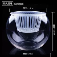 20 шаров [Dingzhi Planting Basket]