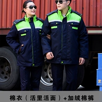 Тибетское голубое плечо (живая лапша)+утолщенные хлопковые штаны