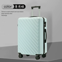 Мята зелено-японья, содержащая толщину, перегородка на молнии+молчание колеса