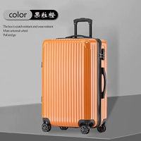 Фруктовые греситовые лапши, плодотворная, царапина, защитная сеть кармана+S тихое колесо