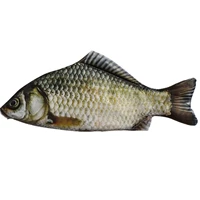 1 Сом Новой реки