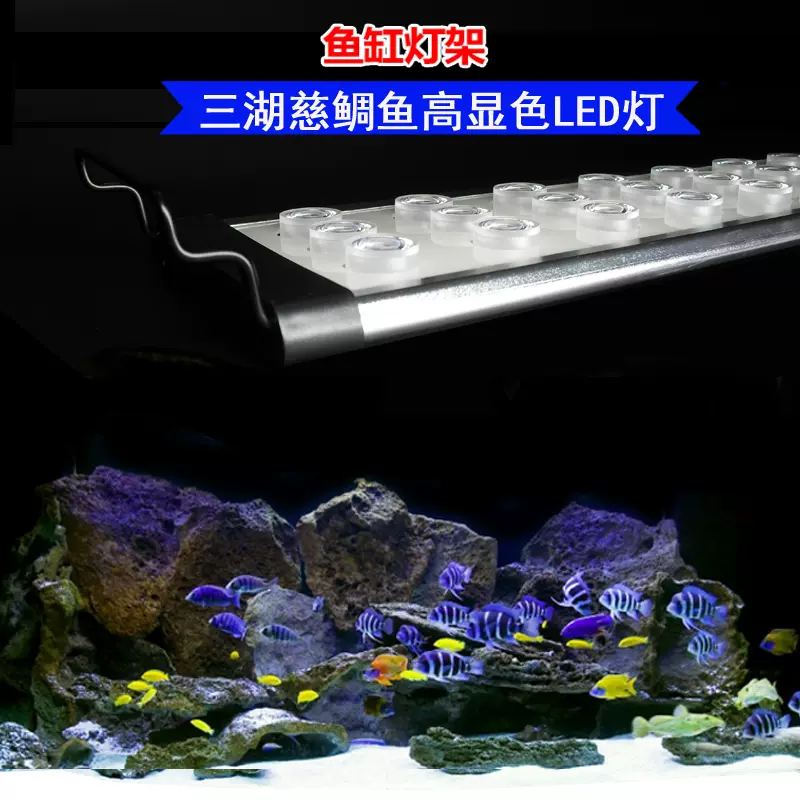 景丰鱼缸led照明灯海缸灯珊瑚大功率海水爆藻灯软体lps Fot补光