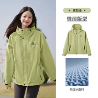 【Такая же модель для мужчин и женщин】 M13CA6V040D5 Green Pear Green