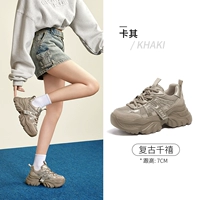 L24A283630, Хаки [модель четыре сезона]