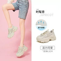 Абрикосовый, 283078W