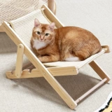 Кошка хватает кошка Запад Ледженный стул пляжный стул диван специальные домашние животные в летних кошках летние гамак -кровать кошки