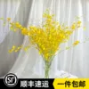 Товары от 春琳花房鲜花批发