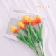 5 ветвей Sunset Red Tulip