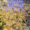 Товары от whitechuan