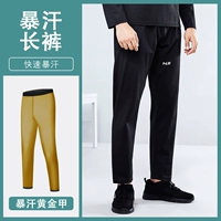 Njr-golden броня [брюки] мужская модель