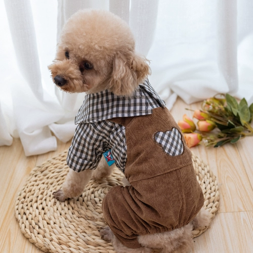 Новые домашние брюки с осенью педант