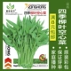 Четыре сезона Willow -Leaf Etuxalized овощи составляют около 50 капсул