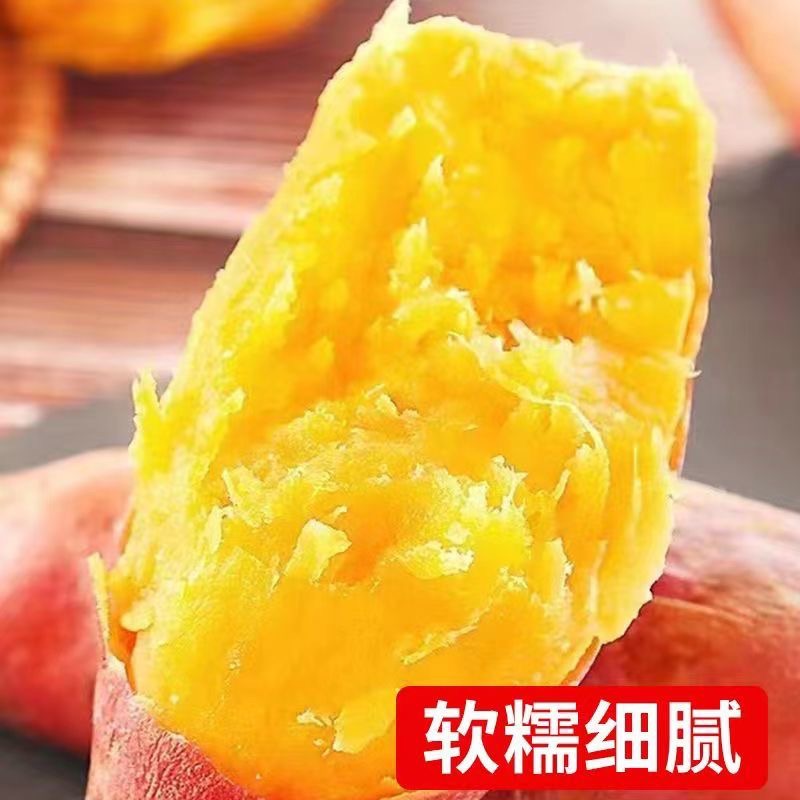 【官补11.5】沙地蜜薯农家红薯9斤中果