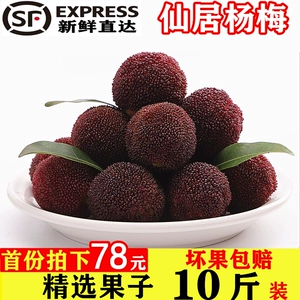 [杨梅新鲜水果当季整箱10斤甜现摘现发正宗仙居荸荠东魁大杨梅鲜果]