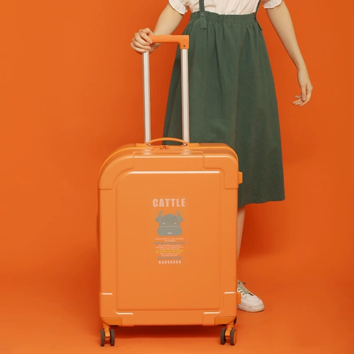 Брендовый сверхлегкий универсальный чемодан подходит для мужчин и женщин, популярно в интернете