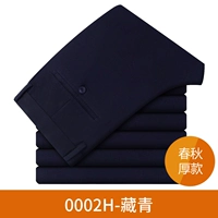 0002H-тибетский цин [модель пружины и осенняя модель толстой панды]