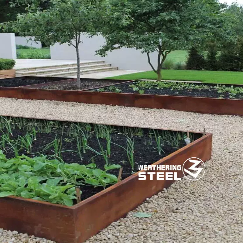 钢板草坪围边别墅diy菜地围边耐候钢花园花坛围板板