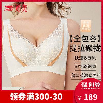 taobao agent Tingmei Courtyard Line of the same dandelion small chest gathered to adjust the integer bras, pair of milk, air -permeable underwear women's defense expansion
