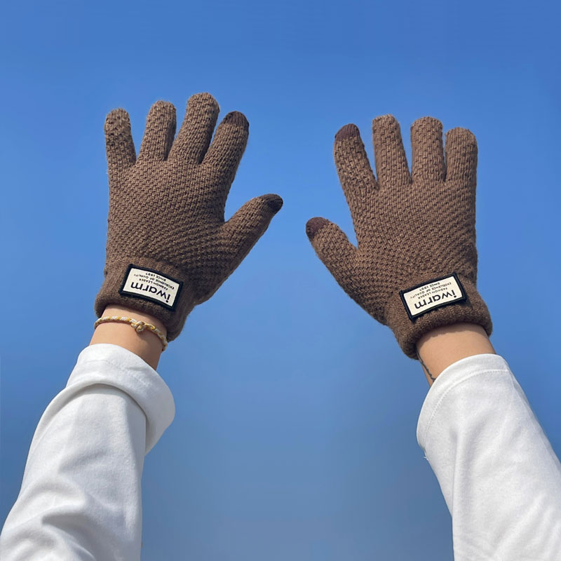 Nuovi guanti touch screen da uomo invernali caldi in pile spesso, guanti antifreddo da uomo in maglia di lana_voghion.com