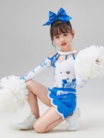 Стиль 4 (синий и белый пор