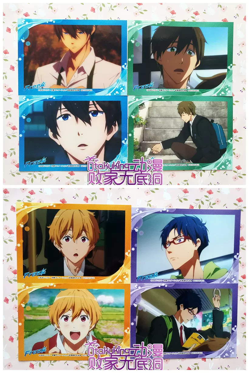 国内现货 Free 男子游泳部日本正版散货文件夹 真琴遥凛怜渚