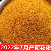 2022 Свежая лотосная пыльца потребление натурального пчелиного цветочного пчели