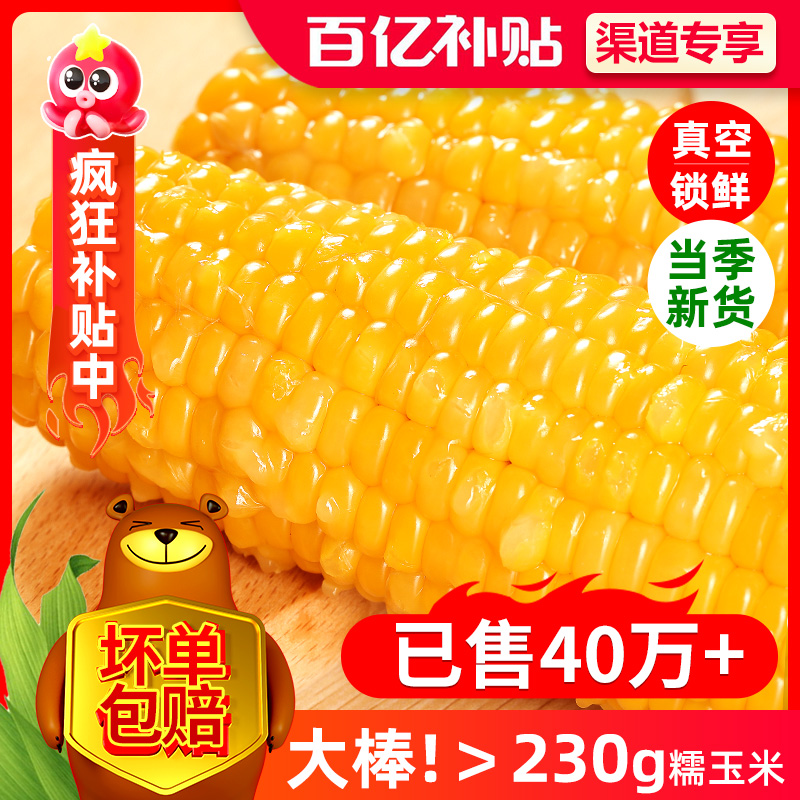 正宗东北糯玉米   无任何添加剂   产地直发